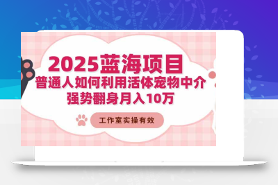 (11.6)2025蓝海项目：普通人如何利用活体宠物中介，强势翻身月入10万