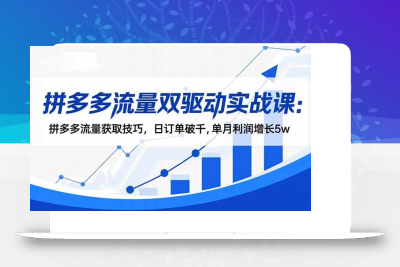 (11.14)拼多多流量双驱动实战课：拼多多流量获取技巧，日订单破千,单月利润增长5w
